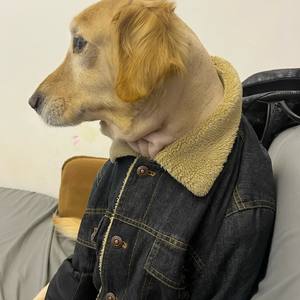 渣男的爱情故事