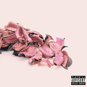 Potpourri