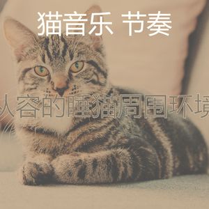 优美睡猫器乐