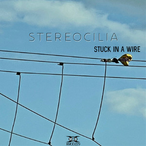 Stuck in a Wire (Original Mix)