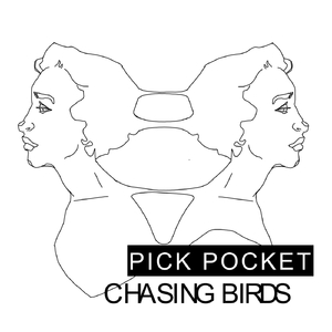 Chasing Birds