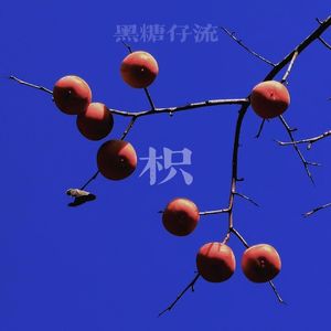 枳