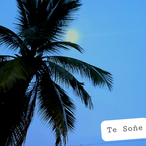 Te soñe