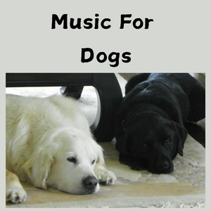 Classical Music for Pets