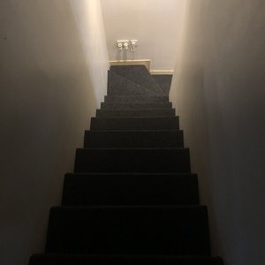 3009