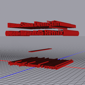 Bunu Sana Demiştim (Disco Tarantula Remix) (slowed + reverb)