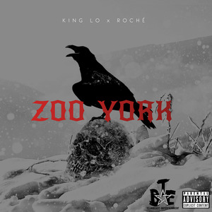 Zoo York