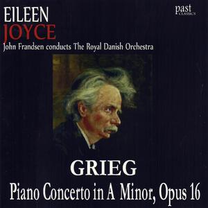 Piano Concerto in A minor, Op. 16: Allegro molto moderato