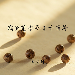 我坐莲台参了千百年
