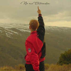 No Me Entienden