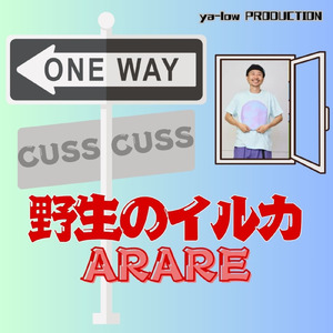 野生のイルカ