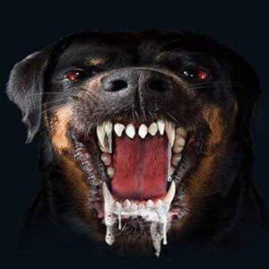 Real Life [MyMixtapez]