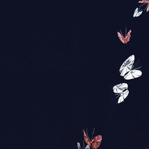 ジャックナイフ