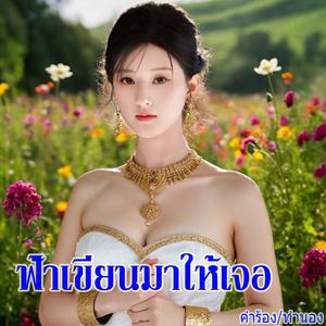 ฟ้าเขียนมาให้เจอ