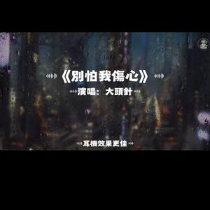 別怕我傷心/大頭針
