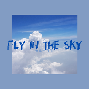 FLY IN THE SKY