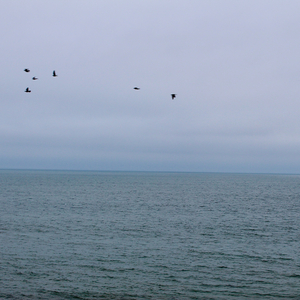 Lost at Sea (feat. Bankston)