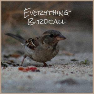 Preliminary Residence