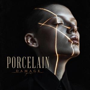 Porcelain Damage