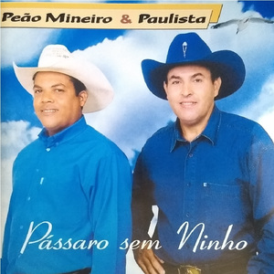 Narrando a Saudade