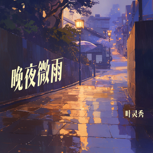 晚夜微雨