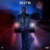 Destin - Pain No More