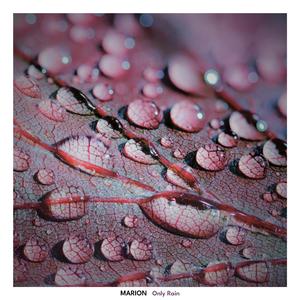 Only Rain