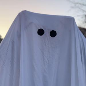 duch minulých vianoc