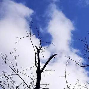 勉强也没什么意思
