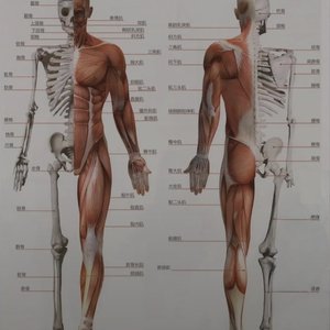 冲破枷锁，热烈而活