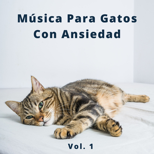 Música Relajante Para Perros