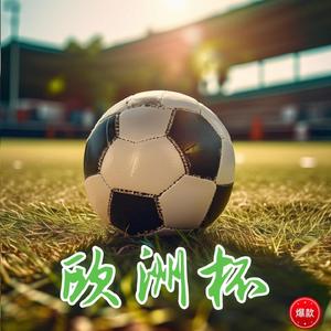 欧洲杯（DJ版）