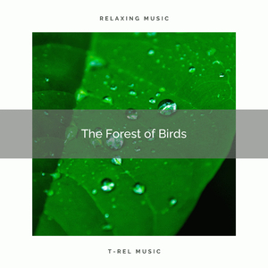 Nice and Meaningful Rain for You to Rest Now