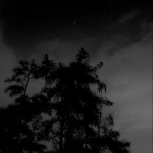 现实（Prod EVO MVSIC）