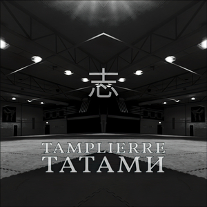 татами
