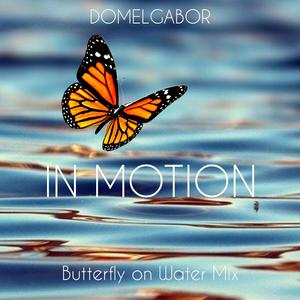 IN MOTION (Butterfly on Water Mix) (Butterfly on Water Mix)