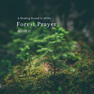 森の祈り
