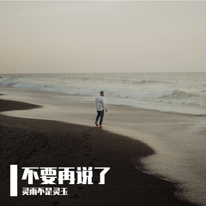 不要再说了