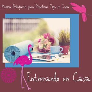 Entrenando en Casa