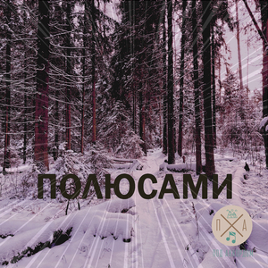 Полюсами