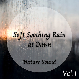 I Can't Stand The Rain