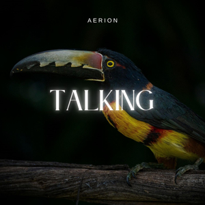 Talking
