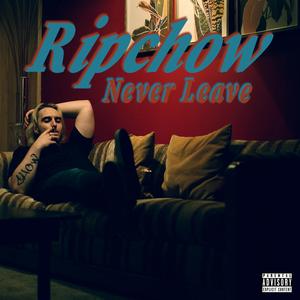 Never Leave (Melatonin) (feat. Dream Mode)