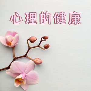 最放松的音乐