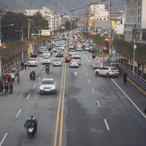 《鱼与饵》