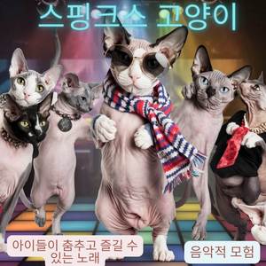 스핑크스 고양이 | 아이들이 춤추고 즐길 수 있는 노래