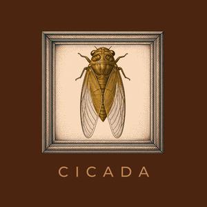 Cicadas