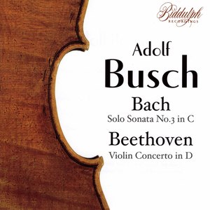Violin Sonata No. 3 in C Major, BWV 1005: IV. Allegro assai