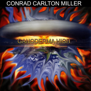 Ganoderma High