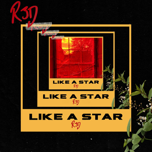 LIKE A STAR (**** it up)